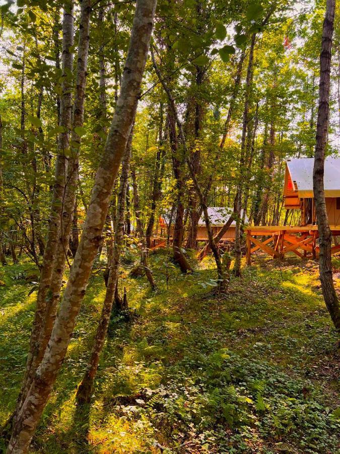 Отель Garuda Glamping Abkhazia Сухум Экстерьер фото